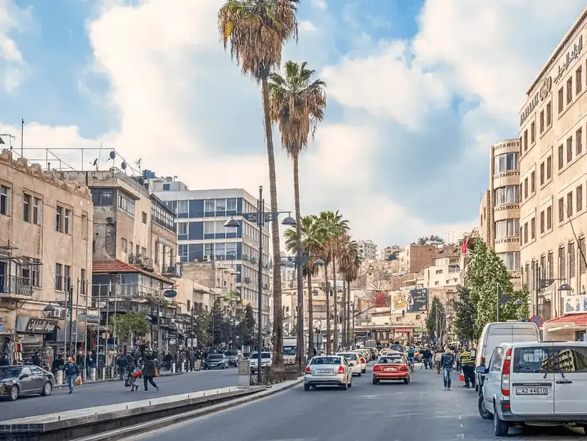 Bustling urban street scene lined with palm trees, reflecting the daily rhythm of city life.