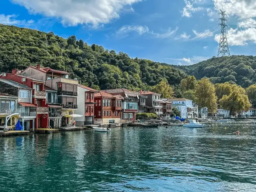 A scenic view of a coastal village with lush green hills and houses along the water.