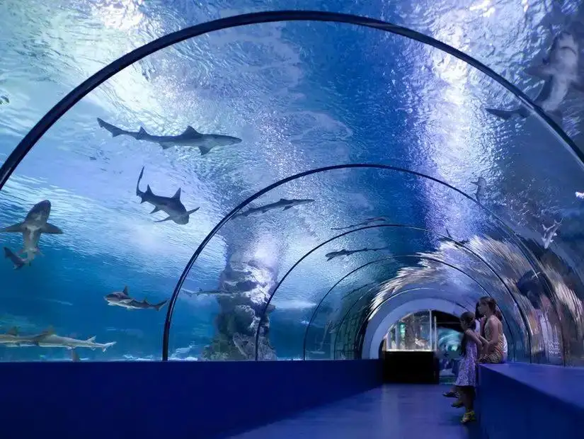 The mesmerizing tunnel aquarium in Antalya, showcasing marine life.
