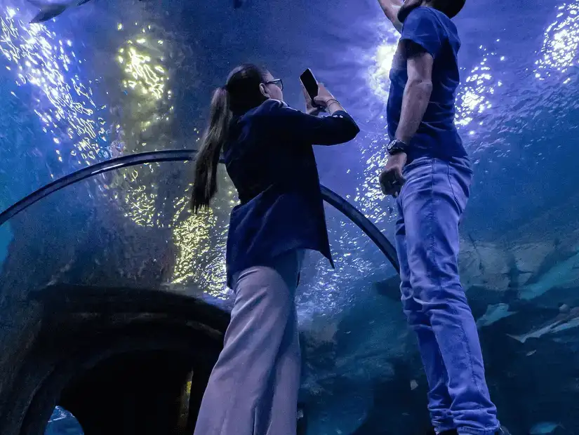 aquarium.jpg