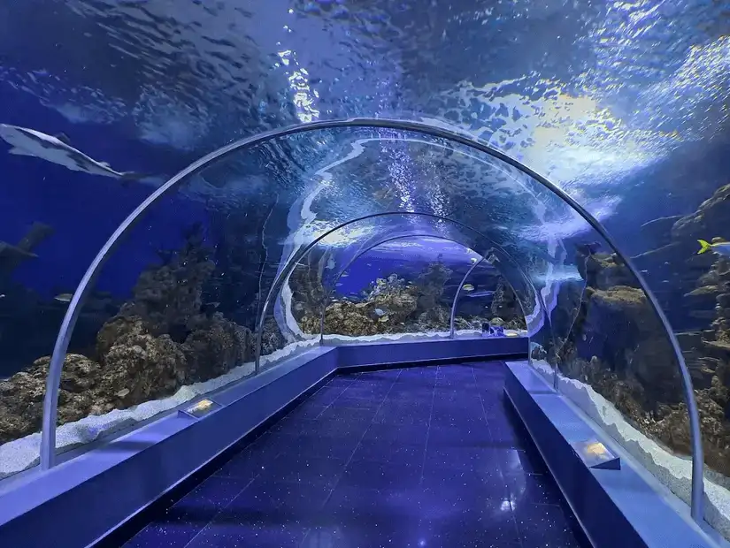 aquarium_faqih.jpg