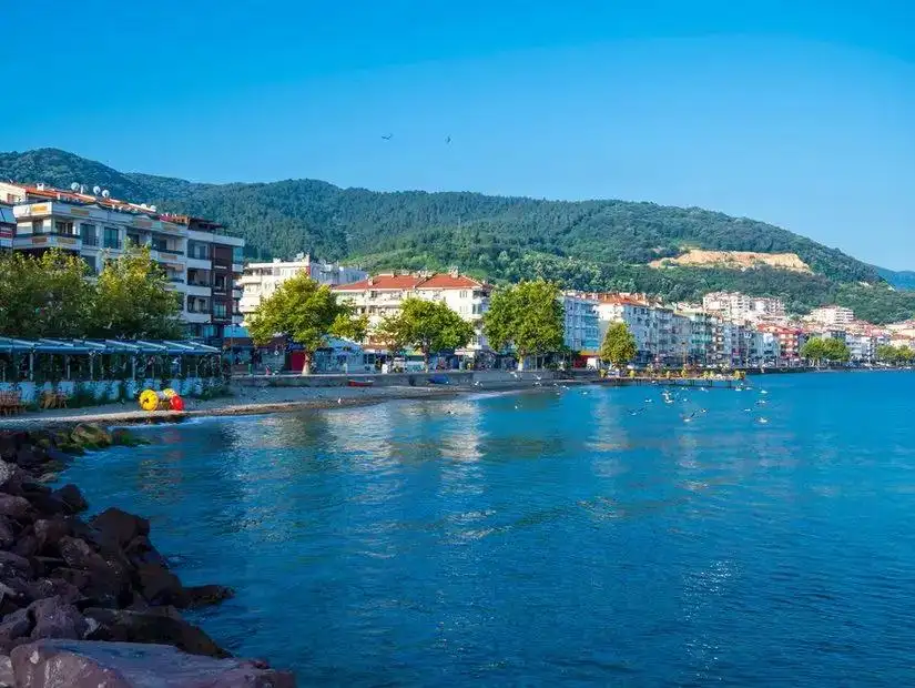 A beautiful beach in Armutlu with calm waves and clear blue water.
