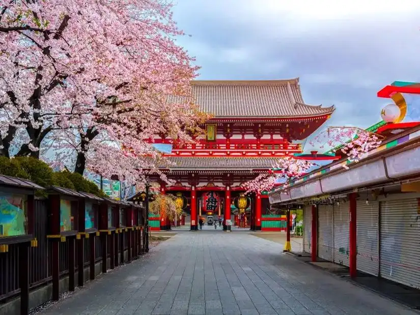 asakusa.jpg