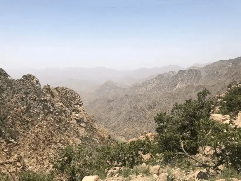 Capturing the stark, natural beauty of rocky terrains and sparse vegetation.