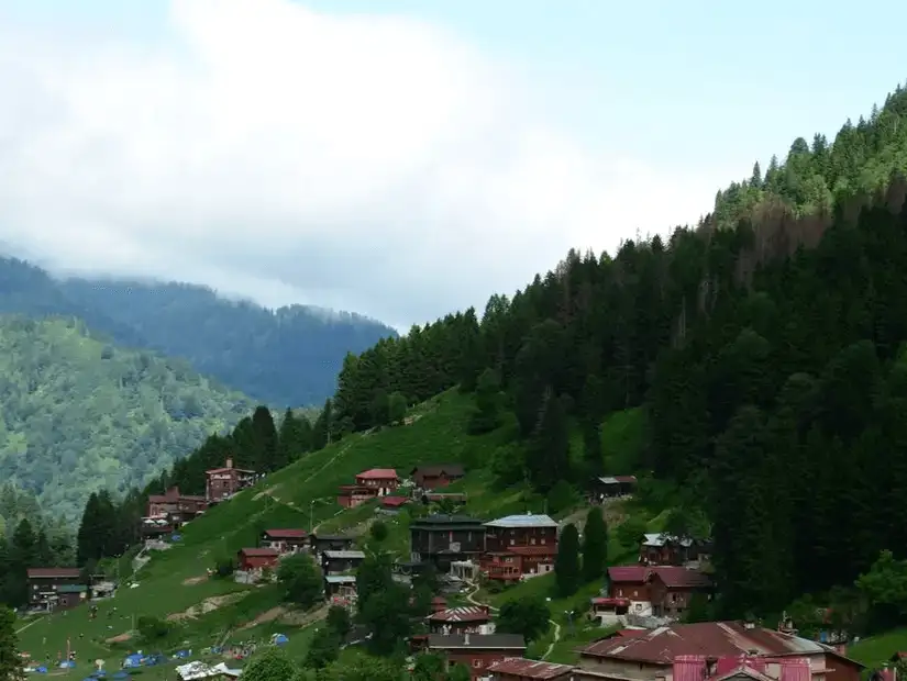 A tranquil village on a hillside with traditional wooden houses.
