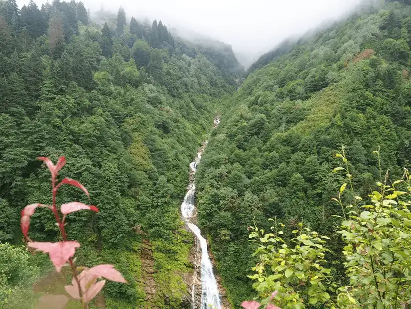 A beautiful waterfall flowing through a forested valley.