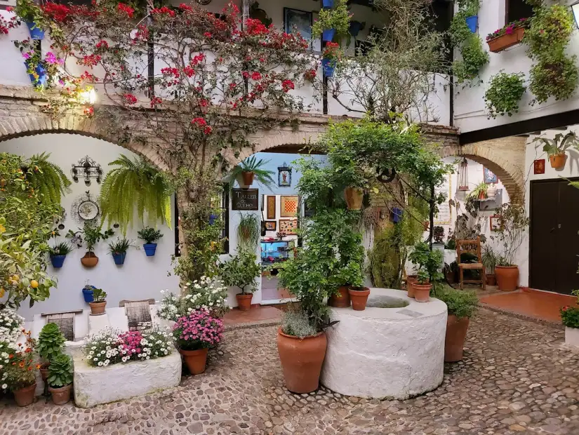 باحات حي سان باسيليو.webp