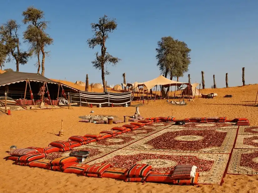 Low striped Bedouin tents and rows of cushioned carpets sprawl across golden desert sand.