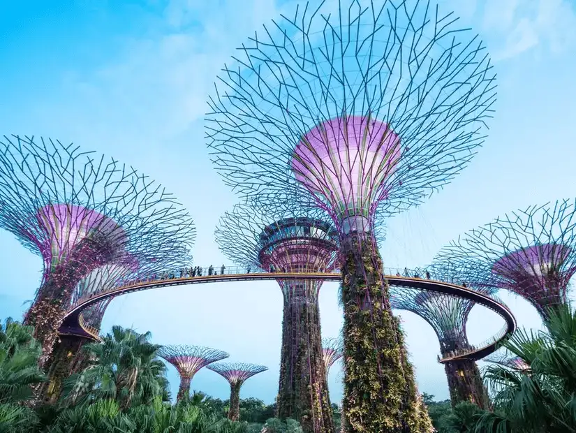 The futuristic Supertree Grove at Gardens by the Bay, a marvel of modern horticulture.