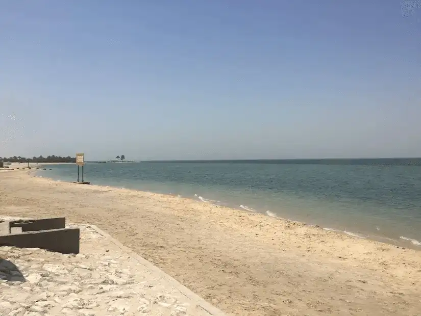 A long stretch of sandy beach meeting the calm blue sea.