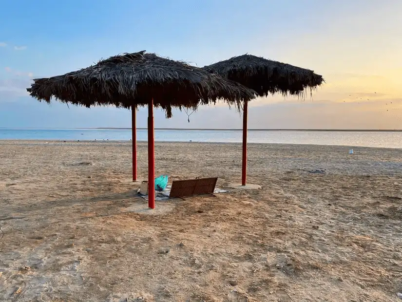 A quiet beach with palm trees and sun loungers, perfect for relaxation.