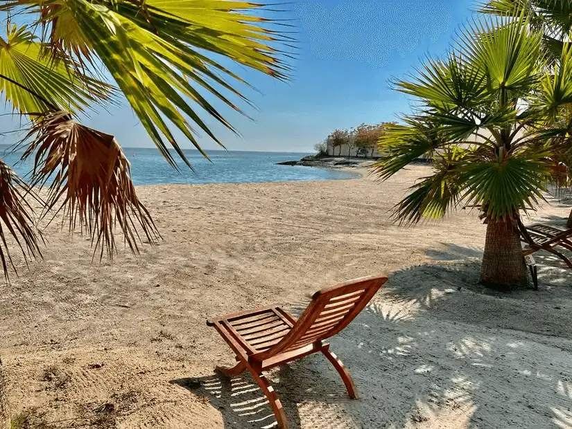 Thatched umbrellas and a bench at the edge of a sandy beach.