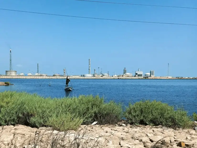 بحيرة المنزلة.png