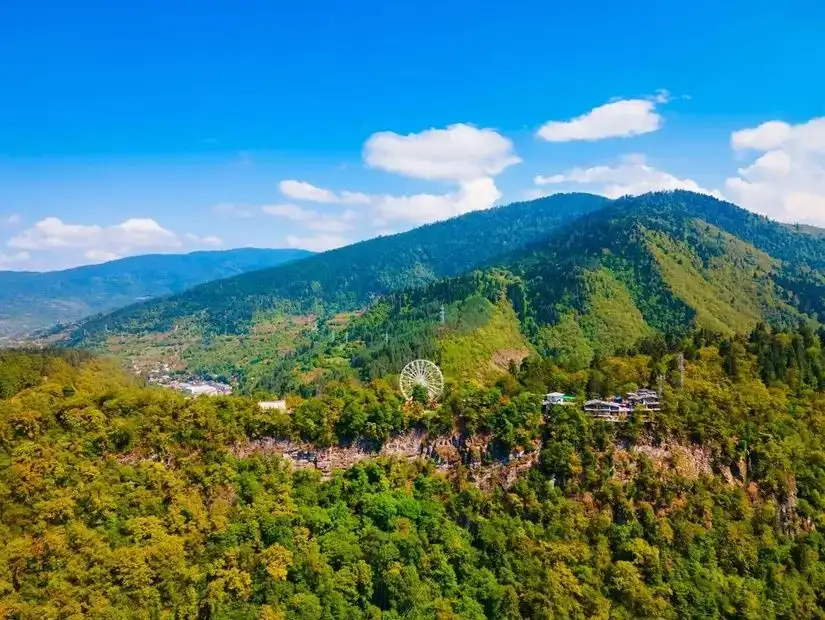 A scenic view of Borjomi with its lush forests and picturesque mountains in the background.