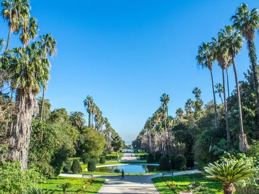 botanical garden hamma.jpg