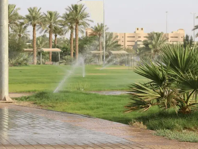 buraidah7.jpg