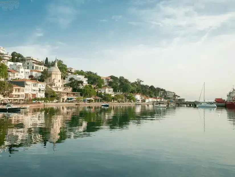 A peaceful island view with houses along the shoreline, surrounded by lush greenery.