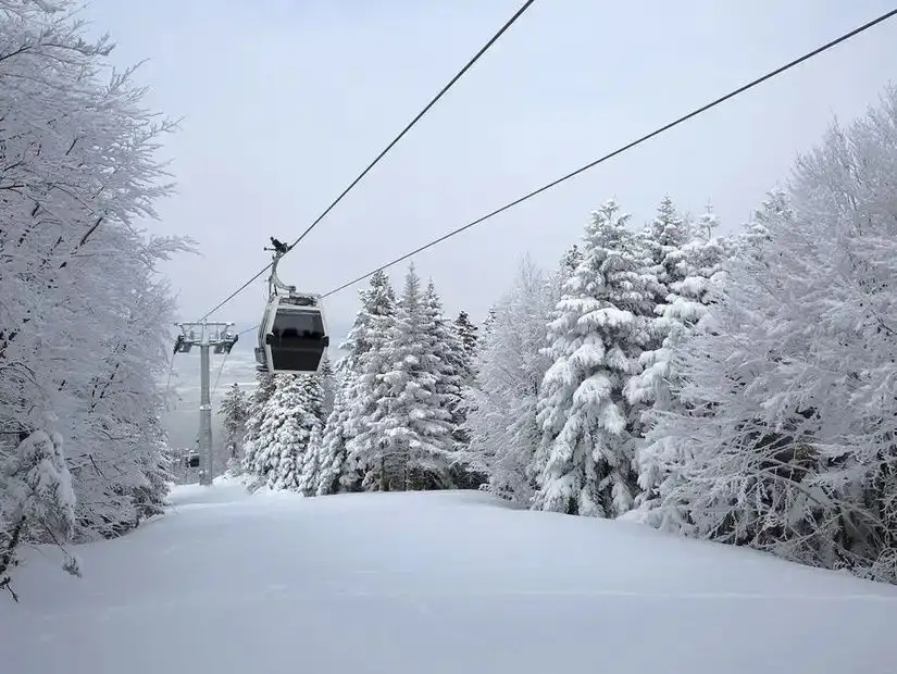 A wintery cable car ride through a snowy forest with snow-covered trees and a clear winter sky above.