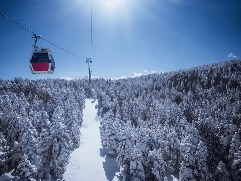 A cable car ascending through snow-covered trees on Uludağ Mountain in Bursa.