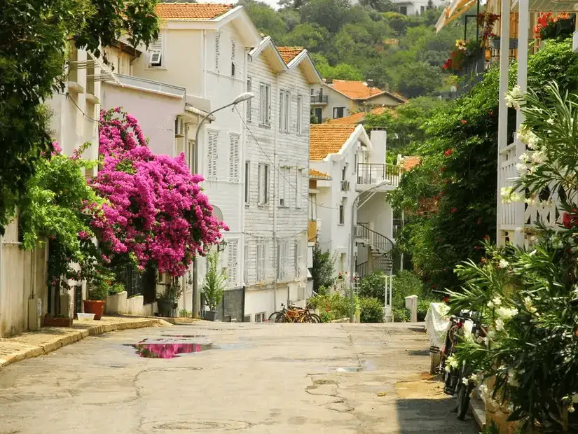 A serene coastal scene with houses lining the shore, offering a relaxing getaway atmosphere.