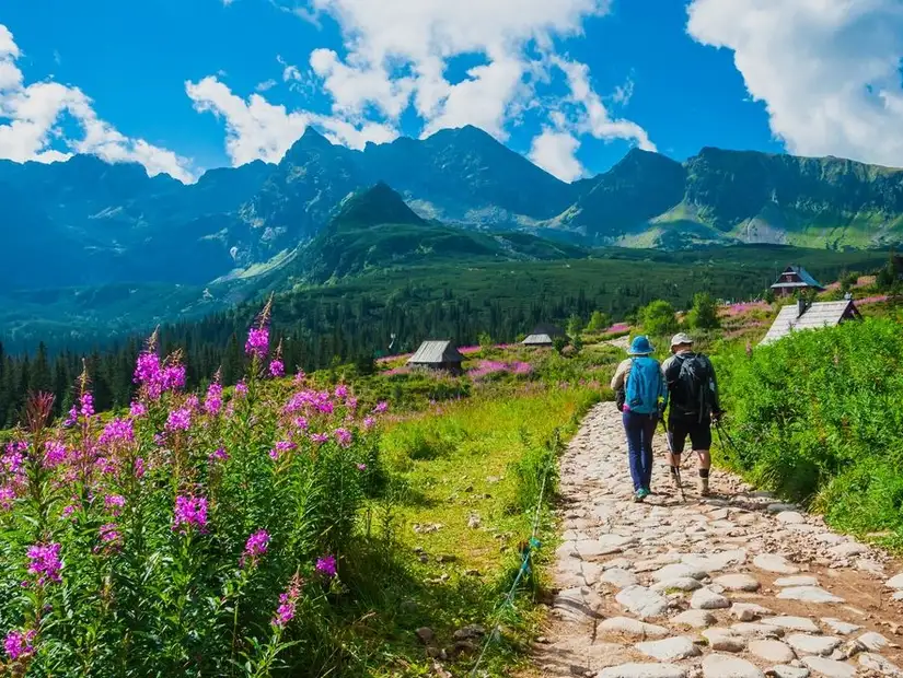 بولندا (2).jpg