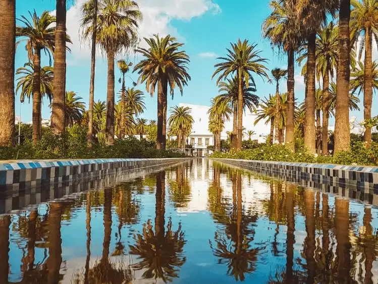 Palm trees reflecting in a tranquil pool at a park in Casablanca.