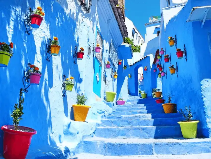 Charming blue-painted alley with colorful flower pots in Chefchaouen.