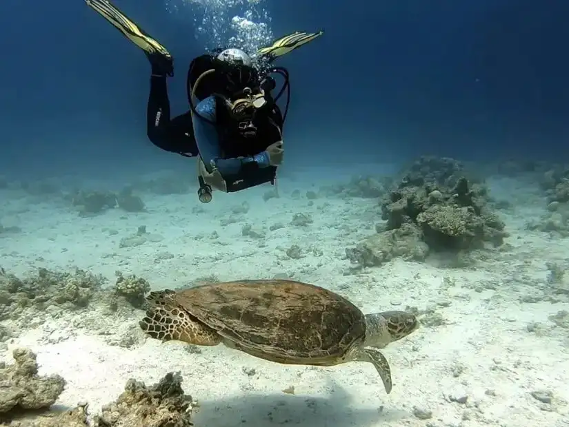 dahab-egypt
