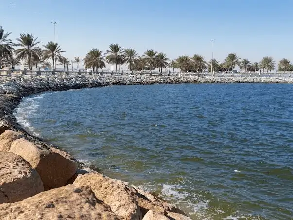 The vibrant Corniche coastline framed by palm trees under a clear blue sky.