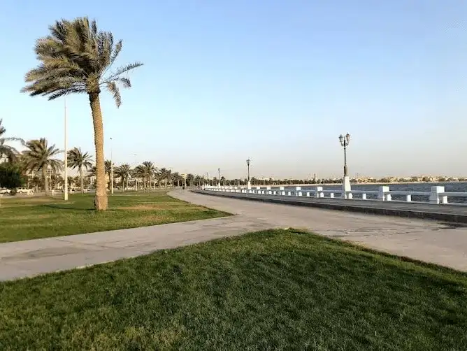 A scenic walking path along the Corniche, lined with palm trees and overlooking the water.