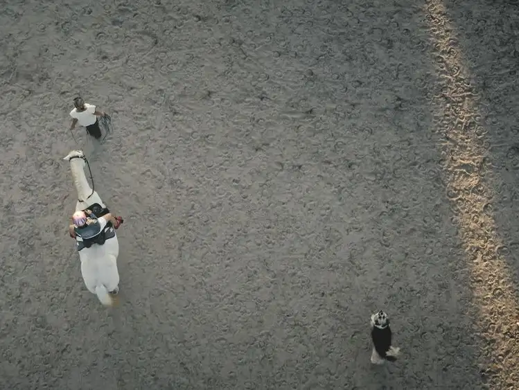 Aerial view of a riding lesson with a young child on a white horse.