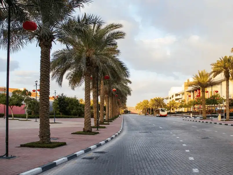 Exterior of Dragon Mart with palm trees. 