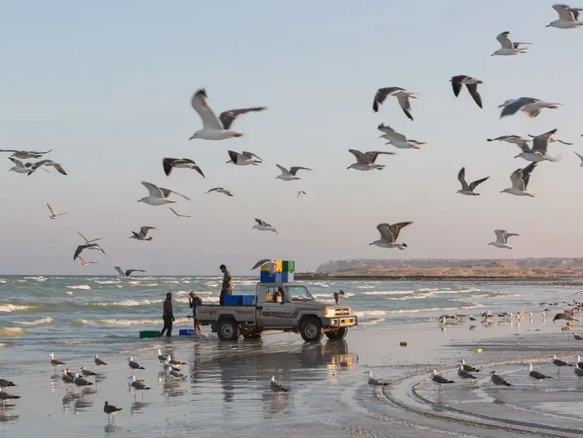 duqm.jpg