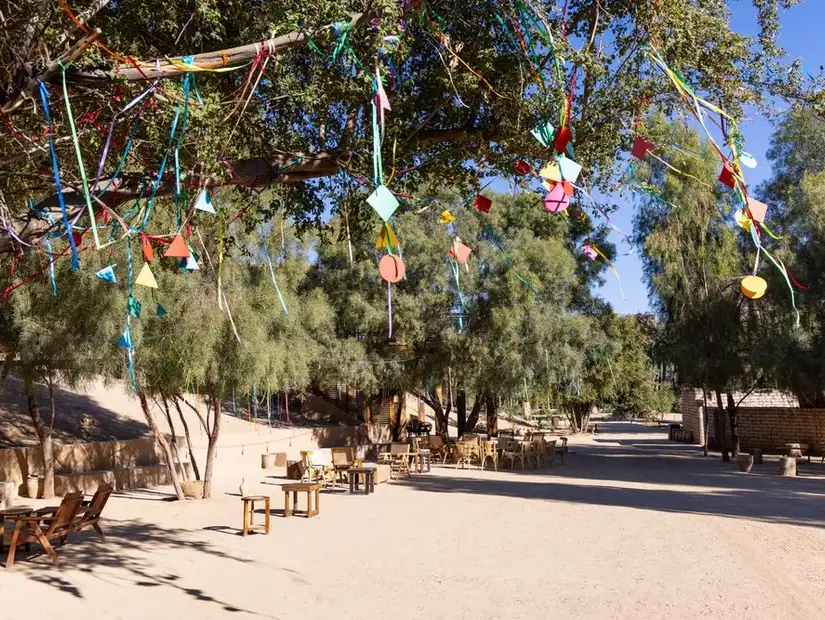 eco-stays1.jpg