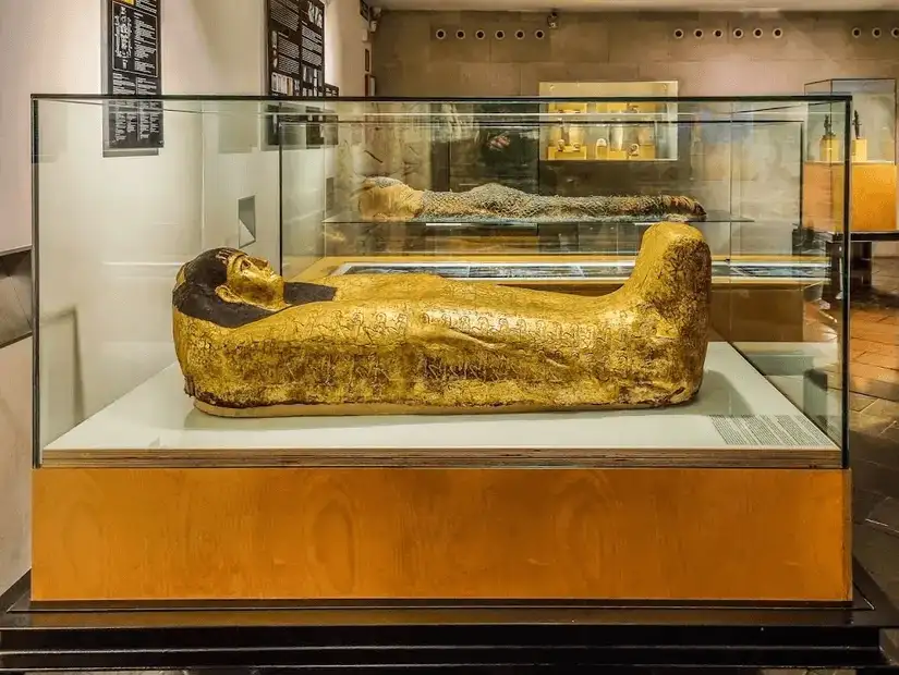 A museum showcasing ancient Egyptian artifacts, including golden sarcophagi.