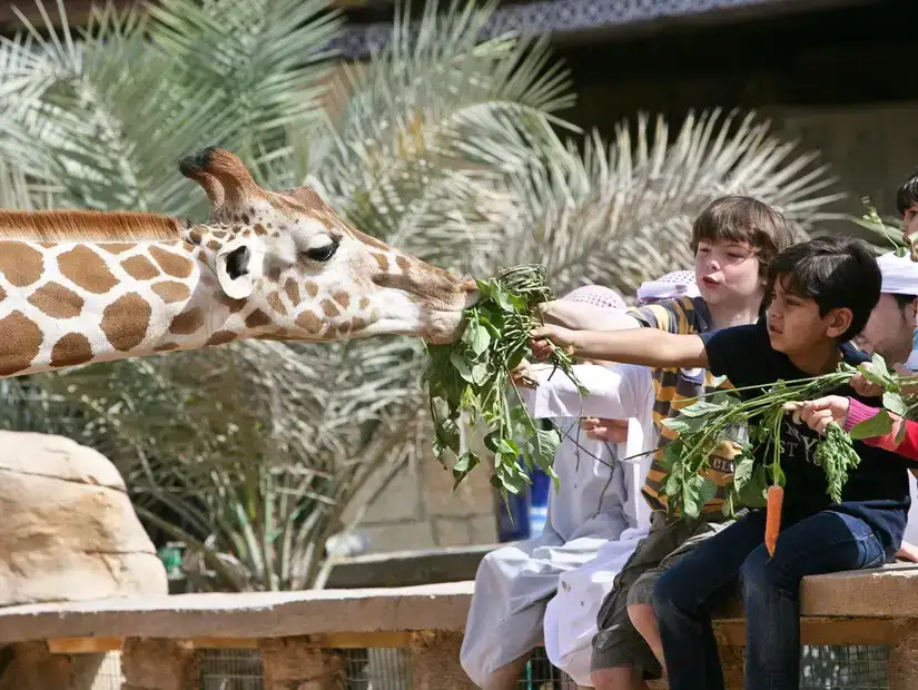 emirates_park_zoo_resort.jpg