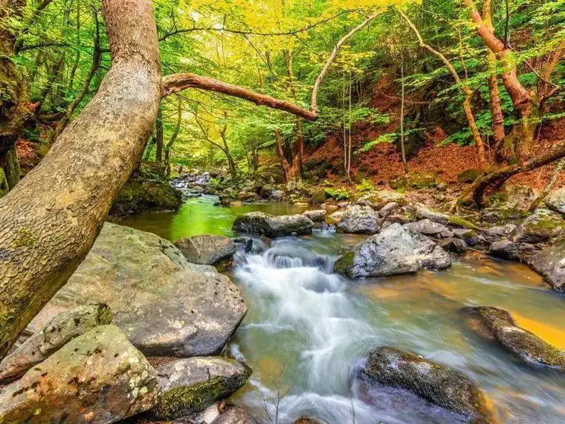 The stunning beauty of the Erikli Plateau, known for its lush green surroundings.