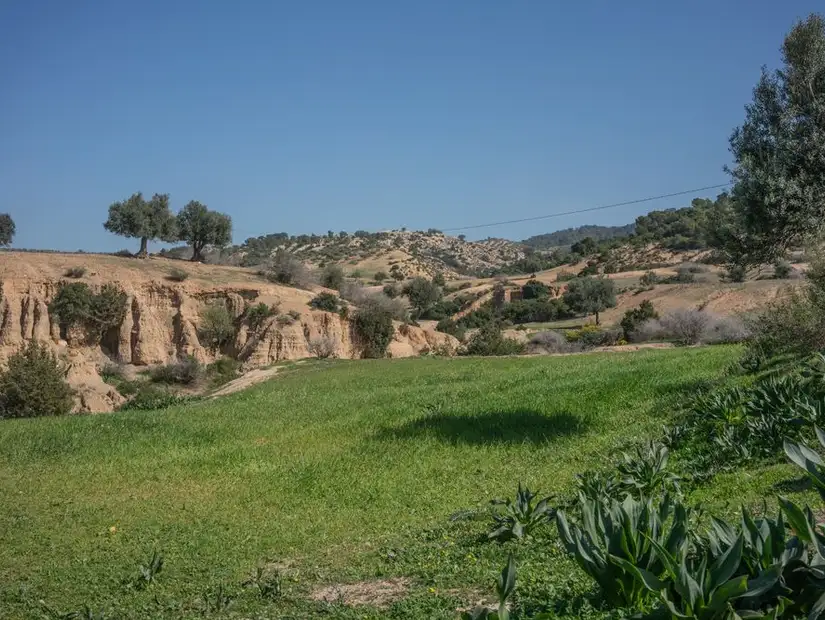 عين دراهم.jpg