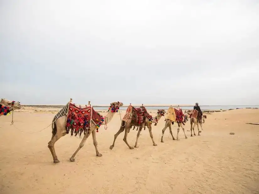 fayoum-egypt