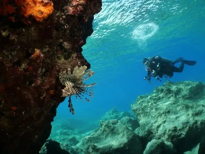 A peaceful underwater scene with a diver and lionfish at the Fethiye Diving Centre.