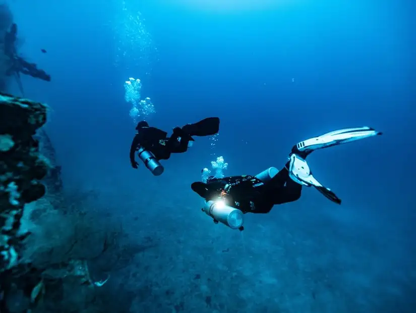 Scuba diver amidst colorful coral and fish.