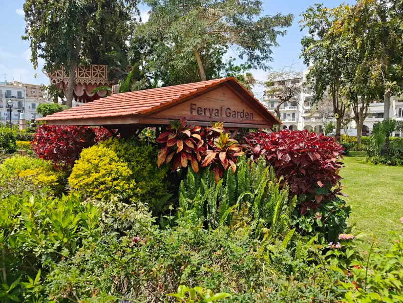 فريال بورسعيد.webp