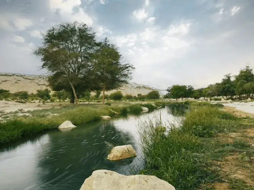 A serene, meandering stream surrounded by trees and greenery under a cloudy sky.