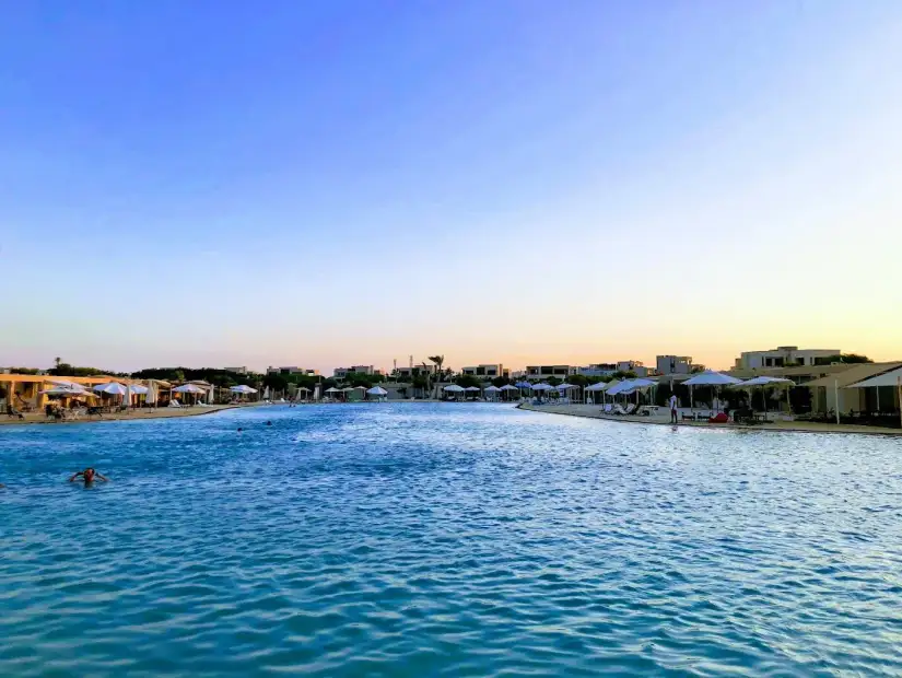 هاسيندا باي.webp