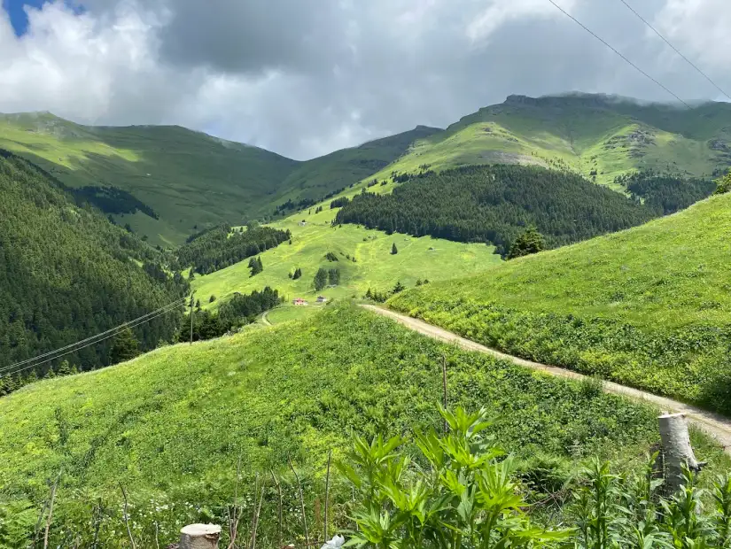 هضبة كيراز.webp