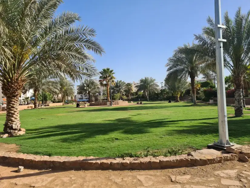 حديقة الأسواف.webp