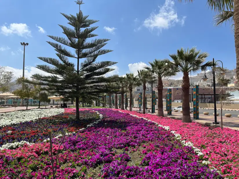 حديقة المشهد.webp