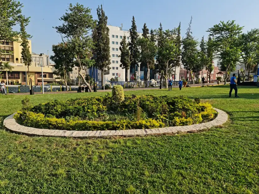 حديقة الطفل.webp