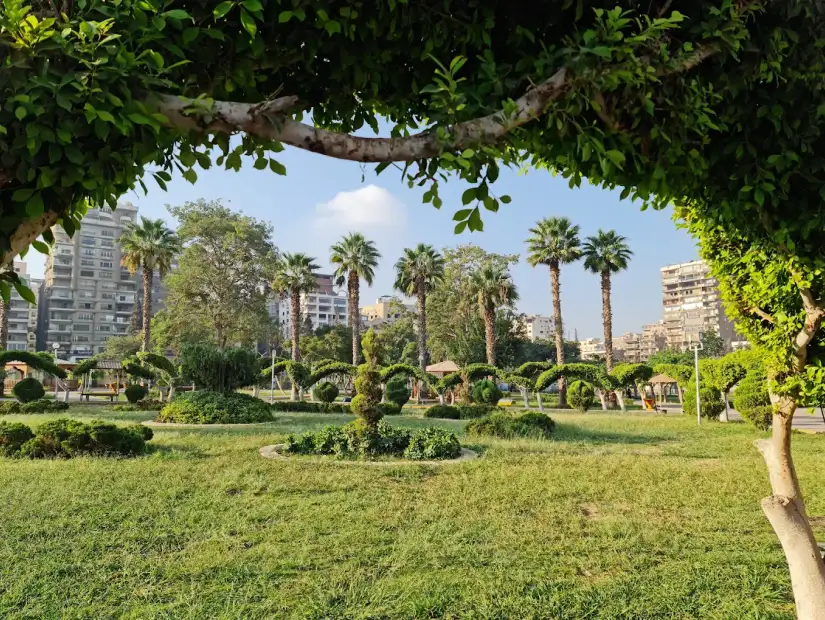 حديقة الطفل.webp