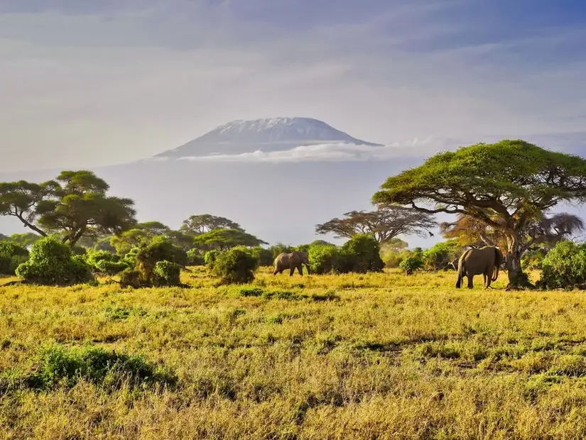 حديقة جبل كليمنجارو الوطنية.jpg